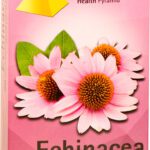 Echinacea tabletes N90